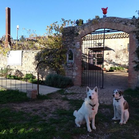 Mas Del Llop Blanc - Dog Friendly Hostal Rural - B&B Sobrestany Exterior foto