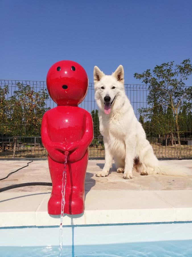 Mas Del Llop Blanc - Dog Friendly Hostal Rural - B&B Sobrestany Exterior foto