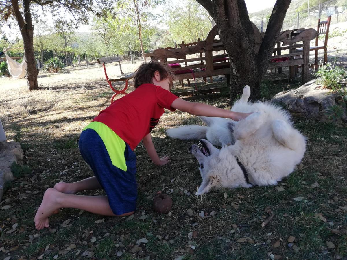 Mas Del Llop Blanc - Dog Friendly Hostal Rural - B&B Sobrestany Exterior foto