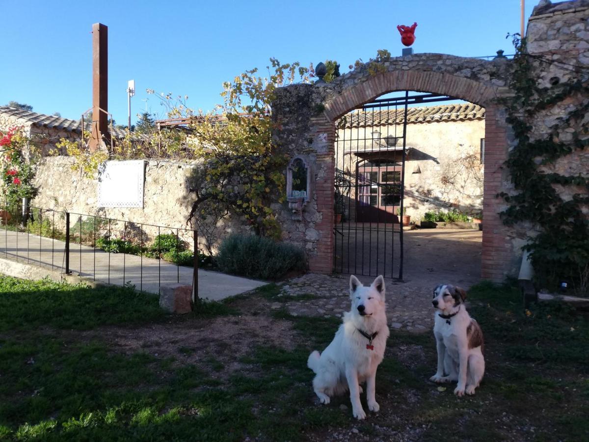 Mas Del Llop Blanc - Dog Friendly Hostal Rural - B&B Sobrestany Exterior foto