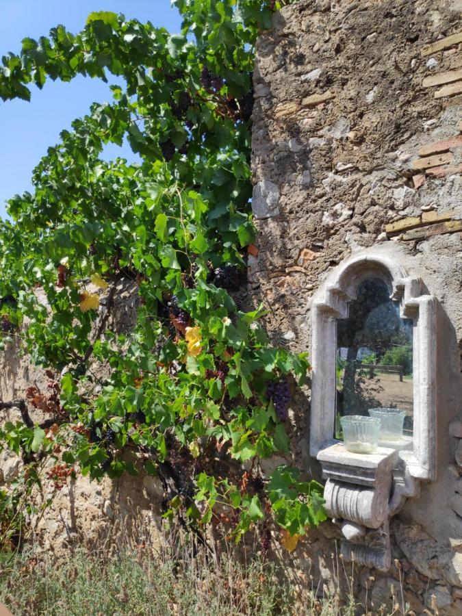 Mas Del Llop Blanc - Dog Friendly Hostal Rural - B&B Sobrestany Exterior foto