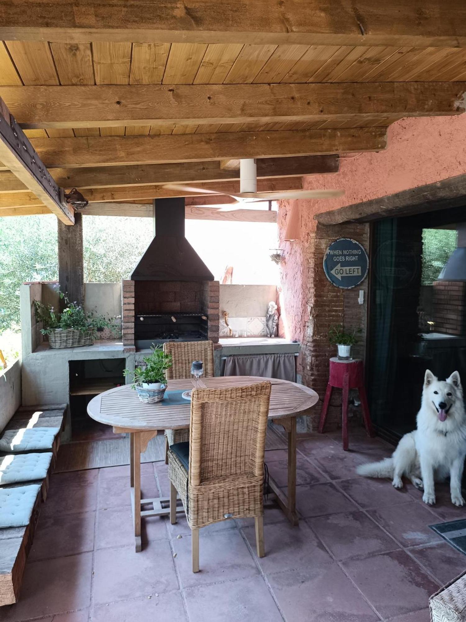Mas Del Llop Blanc - Dog Friendly Hostal Rural - B&B Sobrestany Exterior foto